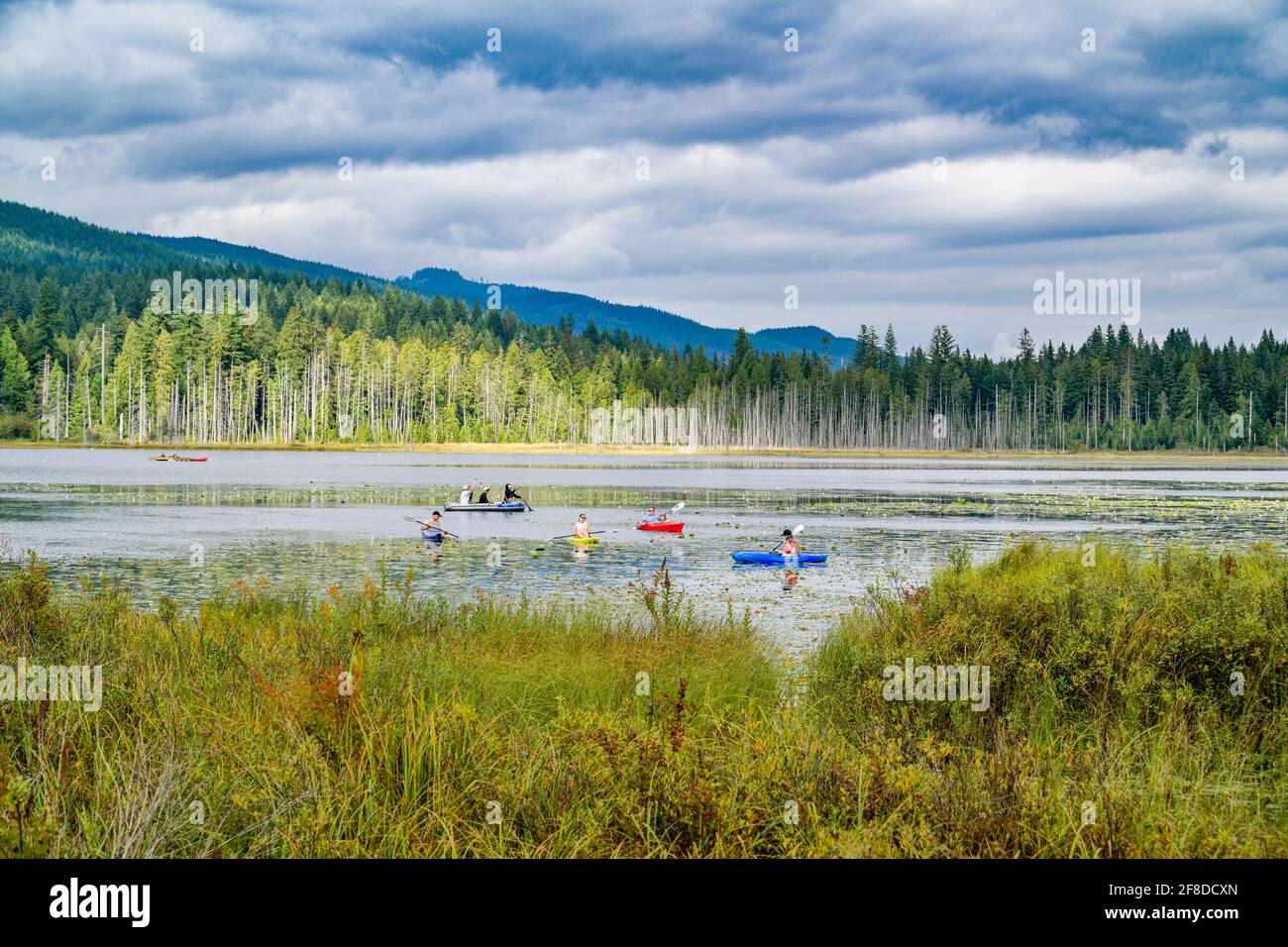 Whonnock Lake, Maple Ridge, British Columbia, Kanada Stockfoto
