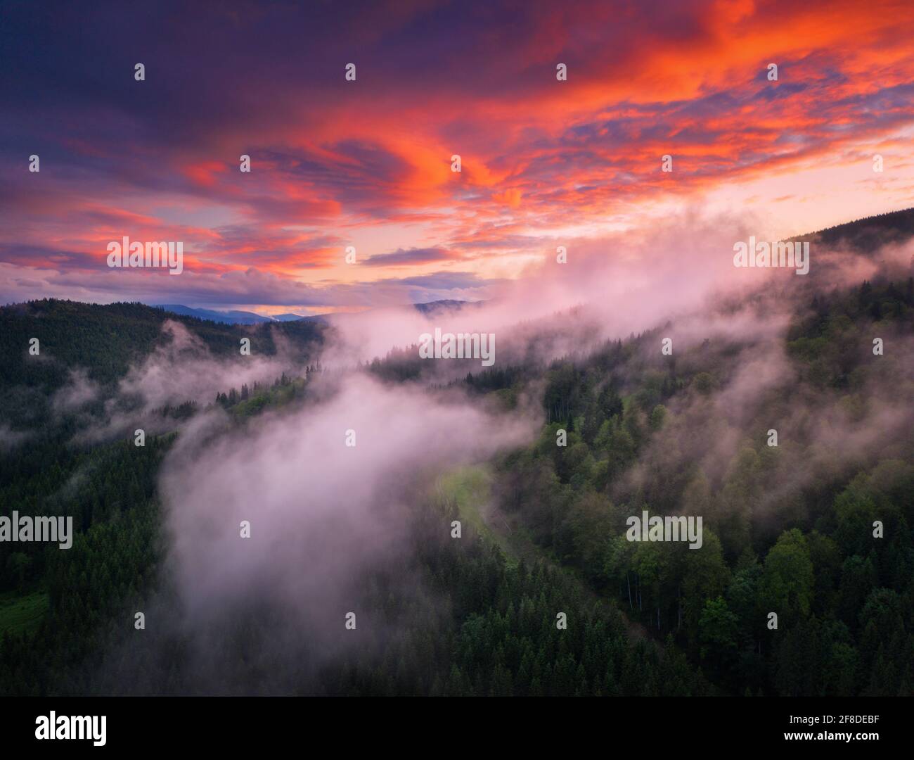 Berge in niedrigen Wolken bei Sonnenuntergang im Sommer. Luftaufnahme der Berge mit grünen Bäumen im Nebel und bunten Himmel mit roten Wolken in der Dämmerung. Wunderschön Stockfoto