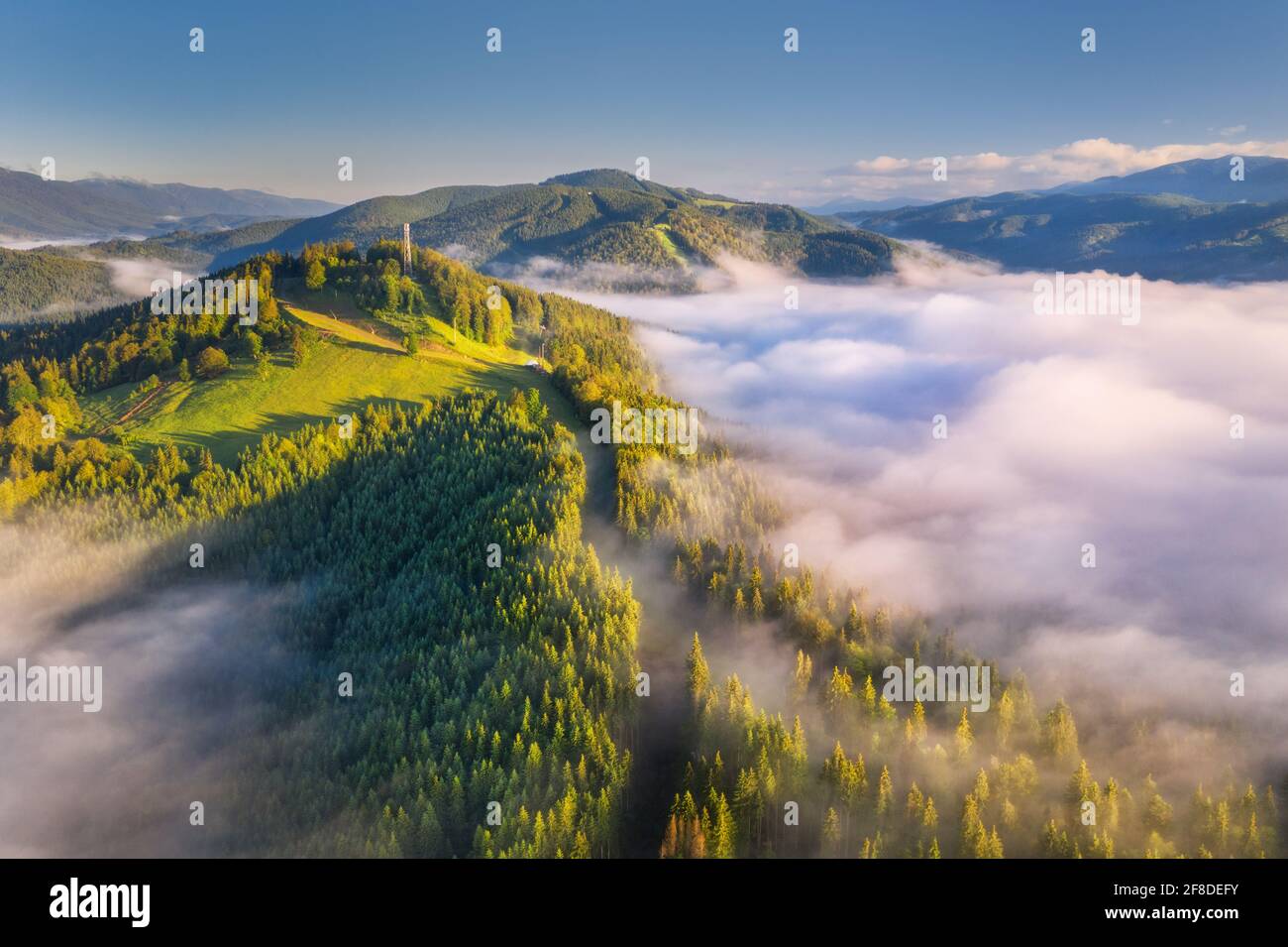 Berge in Wolken bei Sonnenaufgang im Sommer. Luftaufnahme des Berggipfels mit grünen Bäumen im Nebel. Schöne Landschaft mit hohen Felsen, Wald, Himmel. Oben Stockfoto