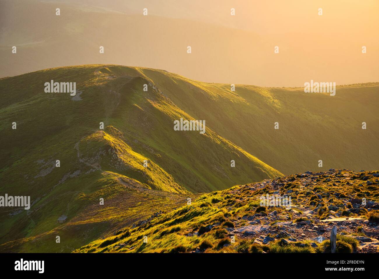 Berge im Nebel bei Sonnenuntergang im Sommer. Wunderschöne Landschaft Stockfoto