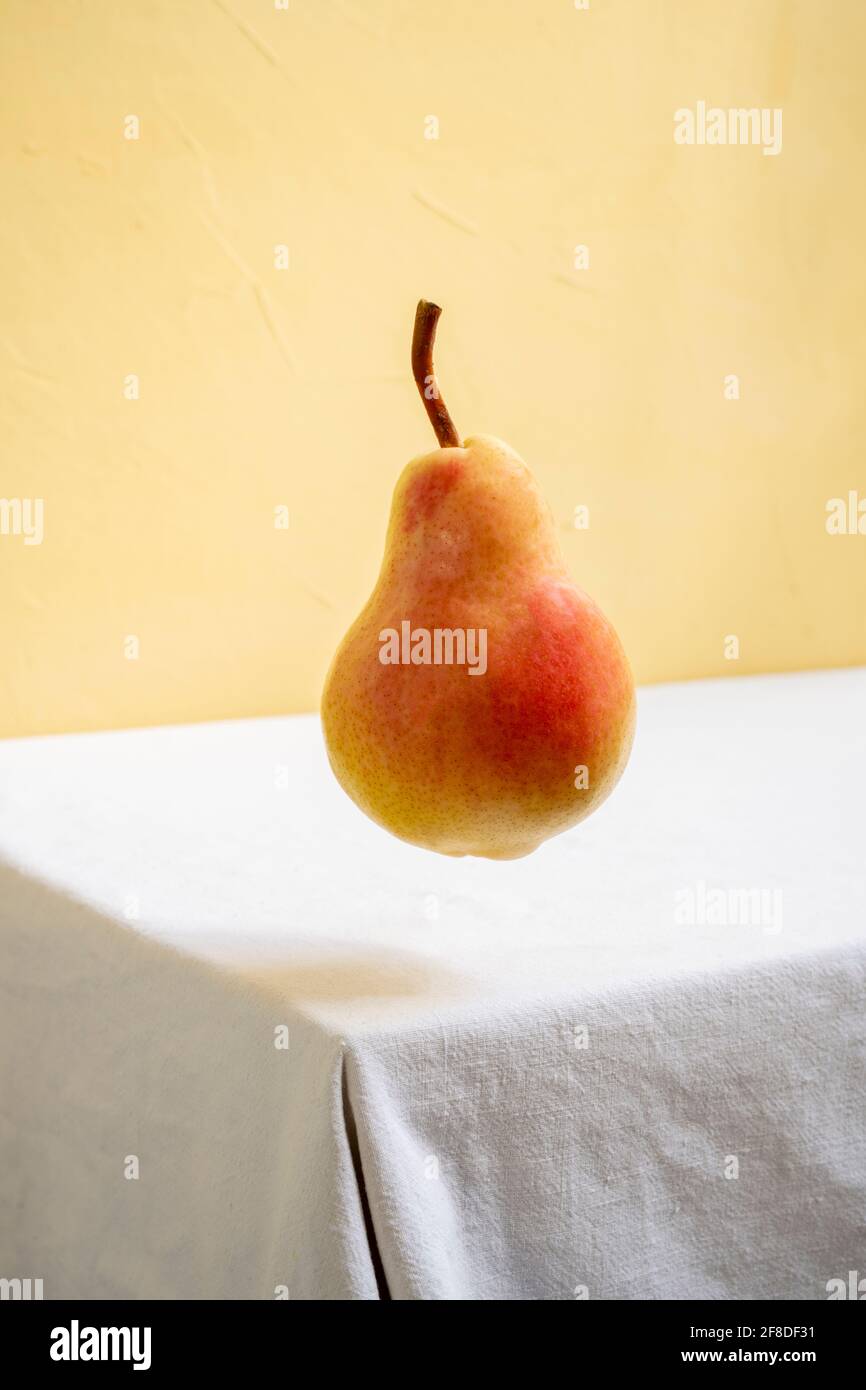 Birne schwebt in der Luft auf einem weißen Tisch und gelbem Hintergrund. Stockfoto
