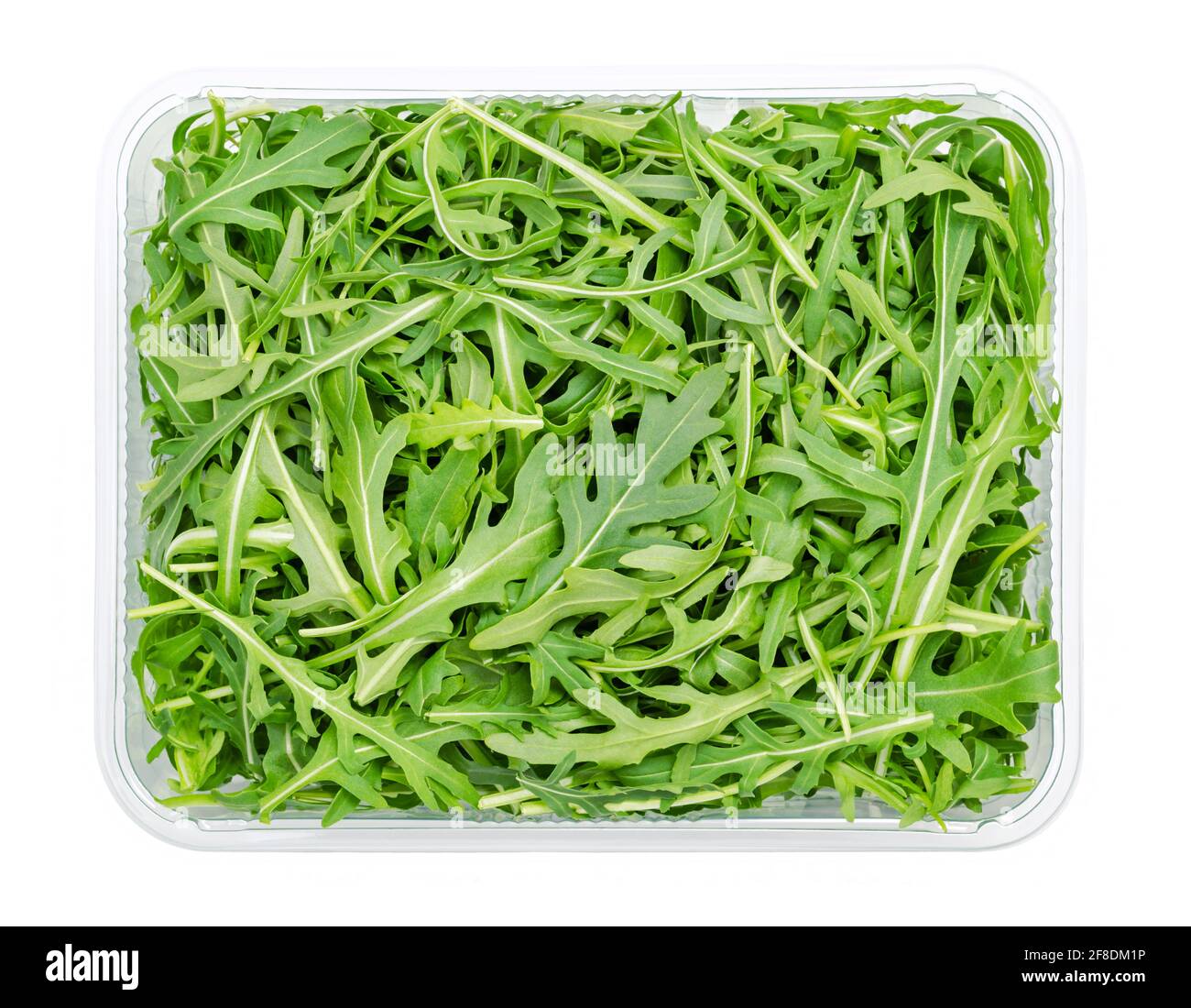 Frische Rucola, roher Rucola-Salat in Plastikbehälter, von oben. Gartenrakete, Eruca vesicaria, verwendet als Blattgemüse, Salatgemüse und Garnierung. Stockfoto