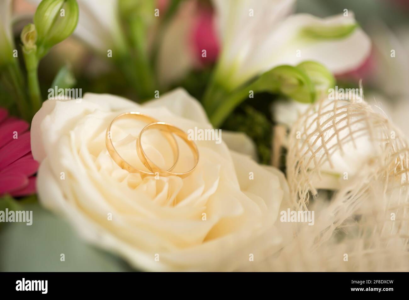 Nahaufnahme eines Paares Eheringe auf einer Blume Stockfoto
