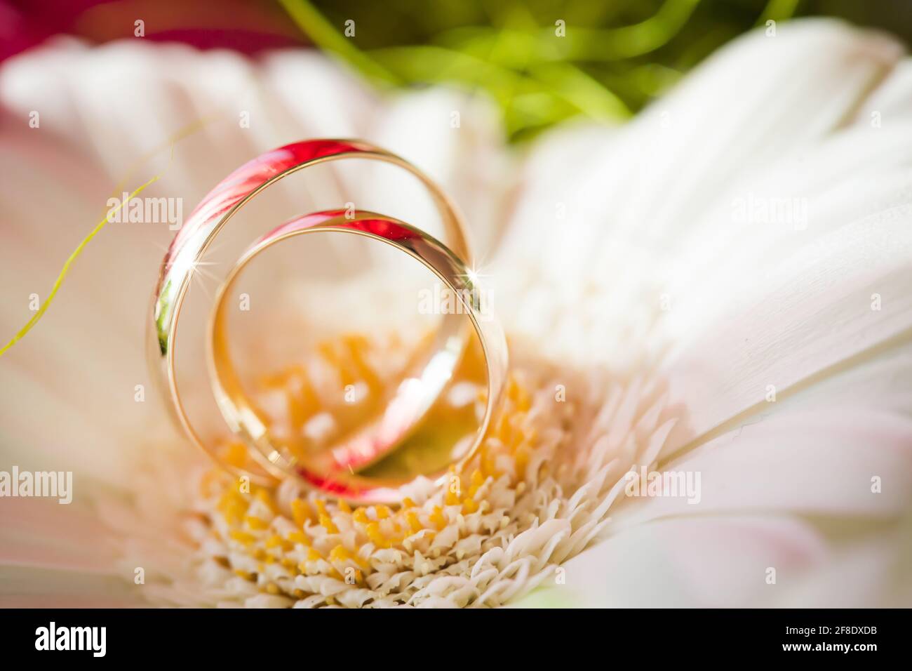 Nahaufnahme eines Paares Eheringe auf einer Blume Stockfoto
