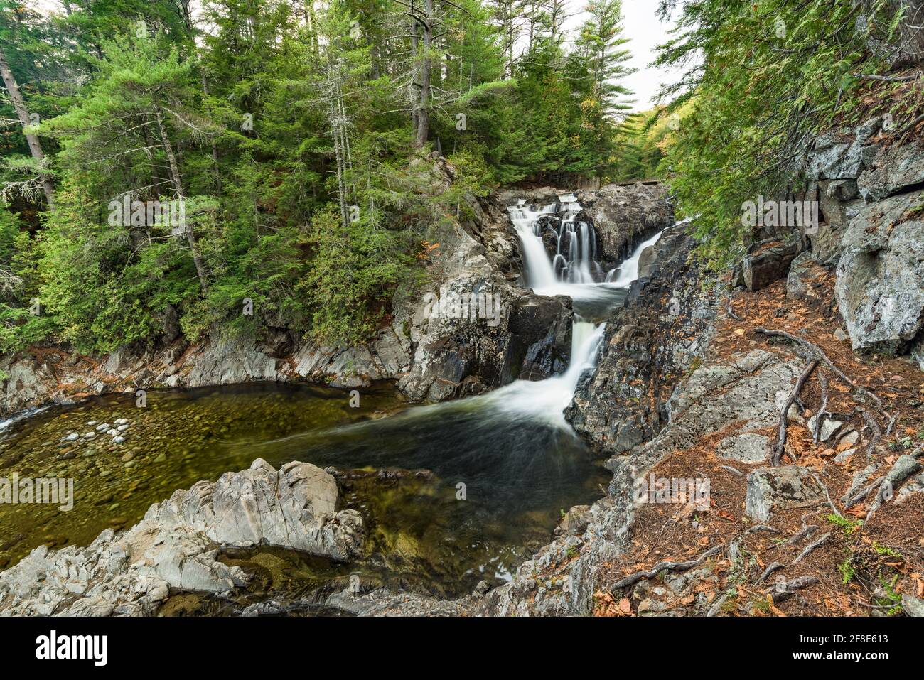 Split Rock Falls am Boquet River, Essex County, Adirondack Mountains, New York Stockfoto