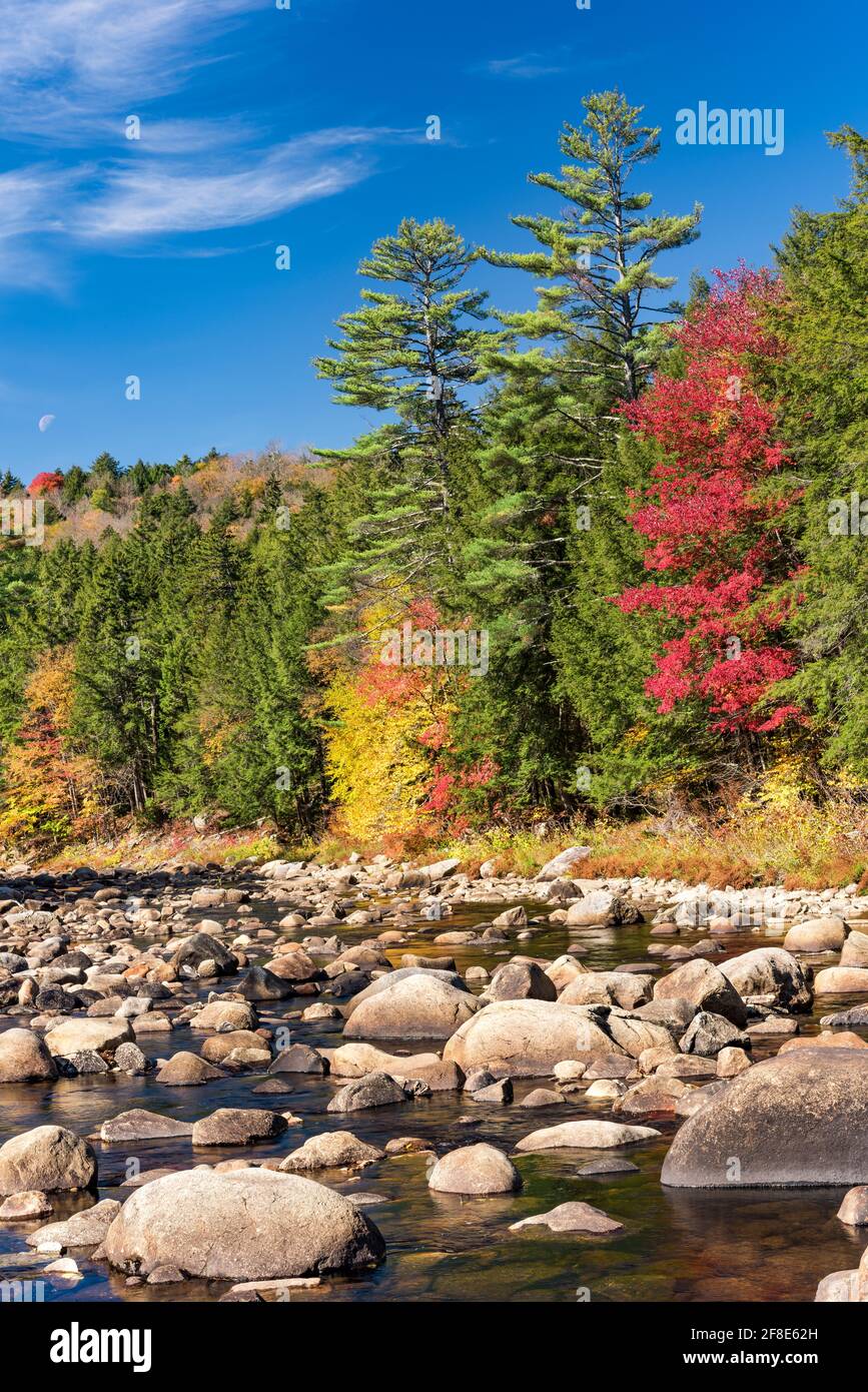 Fallen Sie am Ufer des East Branch Sahandaga River, Hamilton County, Adirondack Park, New York Stockfoto