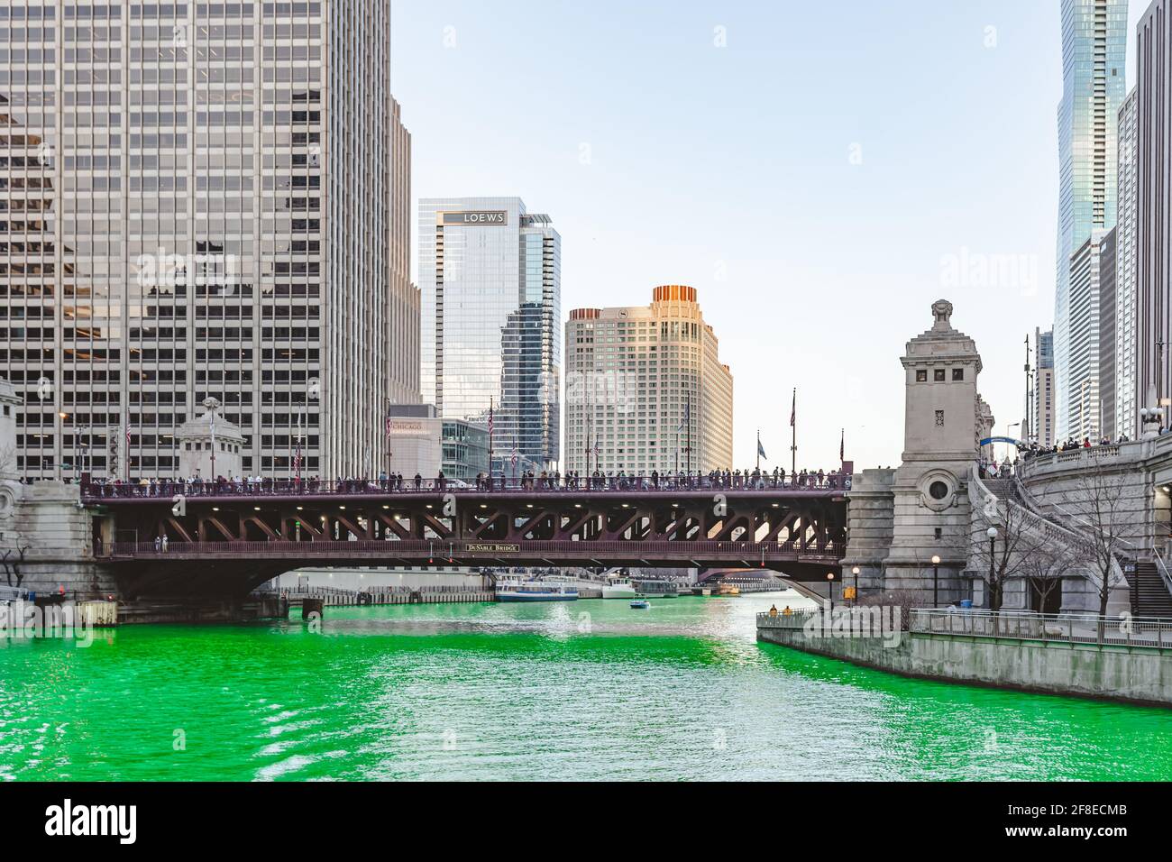 Panoramabild eines grünen Chicago River und der Skyline. Stockfoto