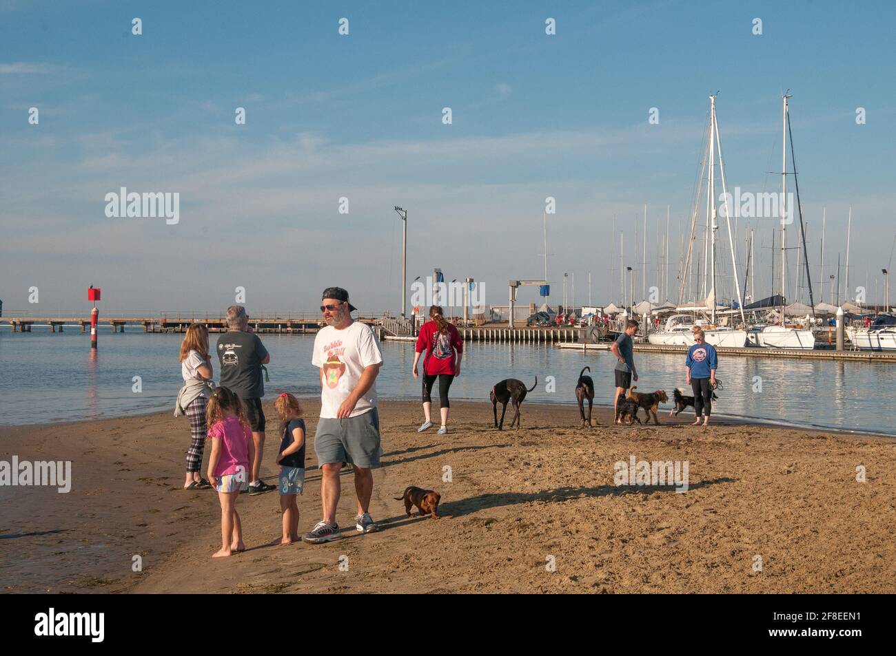 Leine "Dog Beach" in Brighton auf Port Phillip Bay, Melbourne, Australien Stockfoto