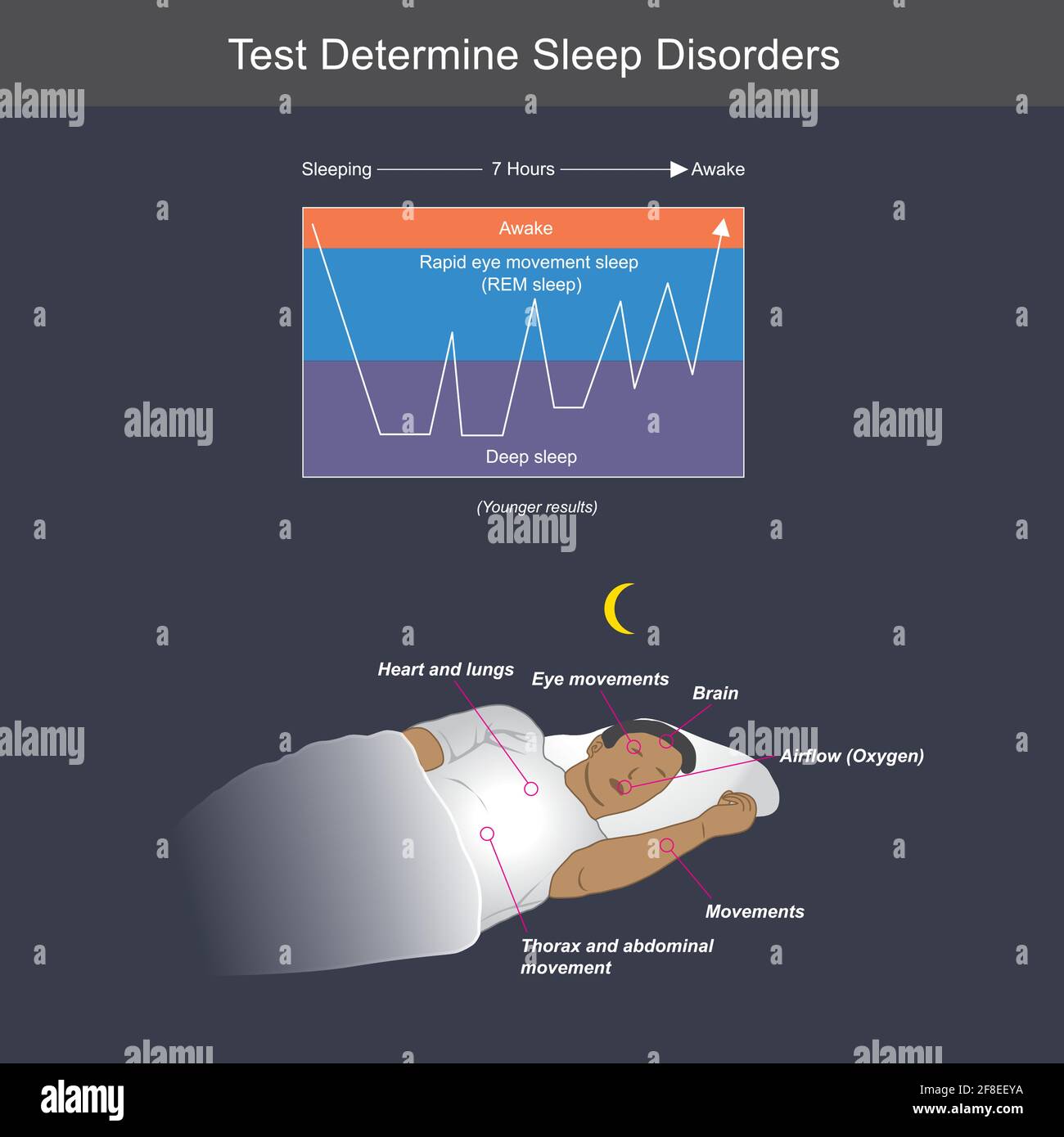 Test Bestimmen Sie Schlafstörungen. Die Abbildung zeigt, dass EIN Mann die ganze Nacht durchgeschlafen hat, während das Körpern-System immer noch normal ist. Stock Vektor