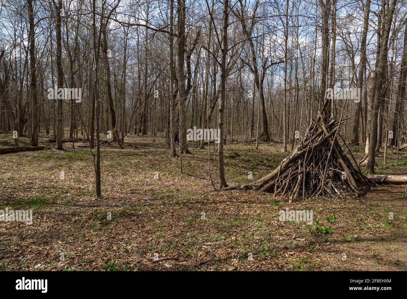 Aus Baumzweigen im Metea County Park in Allen County, Indiana, USA, wurde ein Überlebensschutz errichtet. Stockfoto