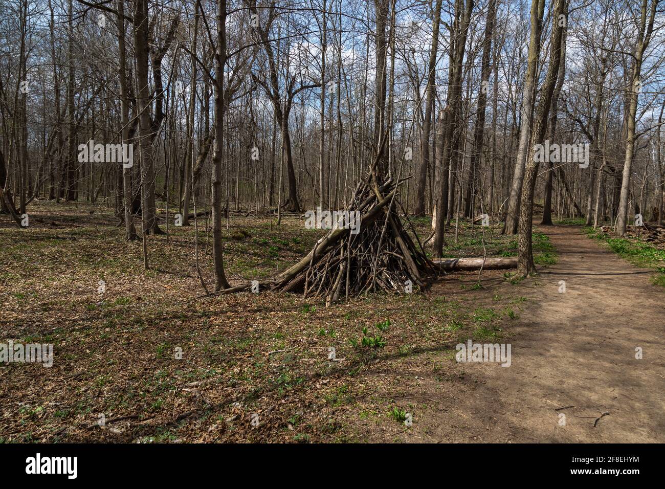 Im Metea County Park in Allen County, Indiana, USA, wurde ein Überlebensschutz aus Baumzweigen entlang eines Pfades errichtet. Stockfoto