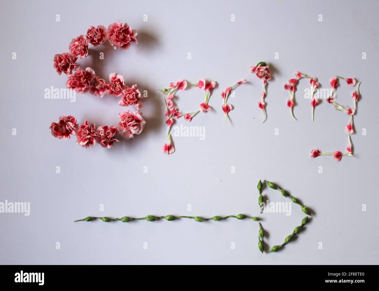 Das Wort Frühling mit Blütenblättern geschrieben bedeutet mit Pfeil nach vorne zeigen, um die Sommerzeit 2021 Frühling Vorwärts Uhr zu symbolisieren. Stockfoto