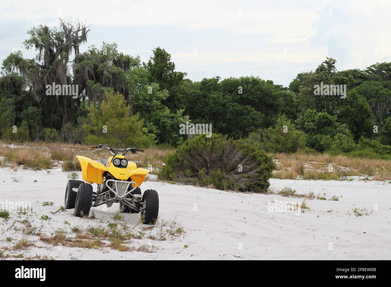 Gelbes Honda ATV Dirt Bike draußen auf einem Sandhügel in der Nähe einer Schlammrutsche geparkt Lesen Sie zum Spaß. Stockfoto