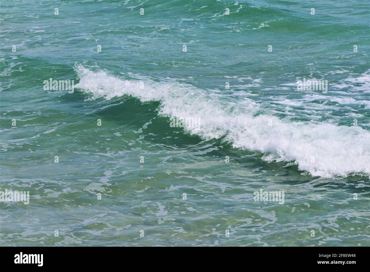Türkisgrünes Meerwasser. Klares Meerwasser mit Meeresschaum in einer kleinen Welle. Copyspace, Hintergrundbild, Hintergrund Stockfoto