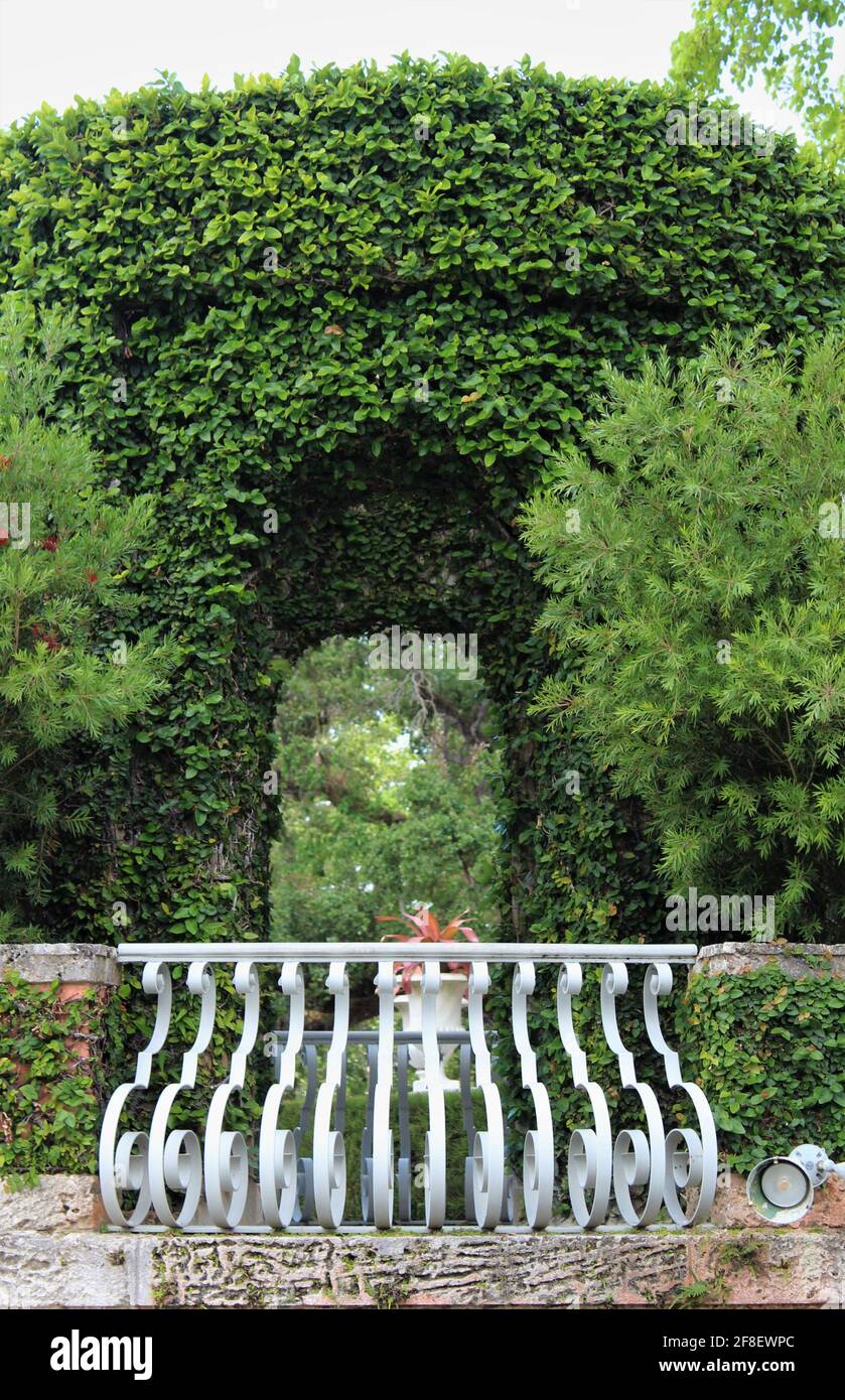 Steinbogen mit grnen Efeu-Bschen bedeckt. Bogen im Grnen mit einem  weien Gelnder Zaun Balkon in einem Garten. Selektiver Fokus, weicher  Fokus Stockfotografie - Alamy