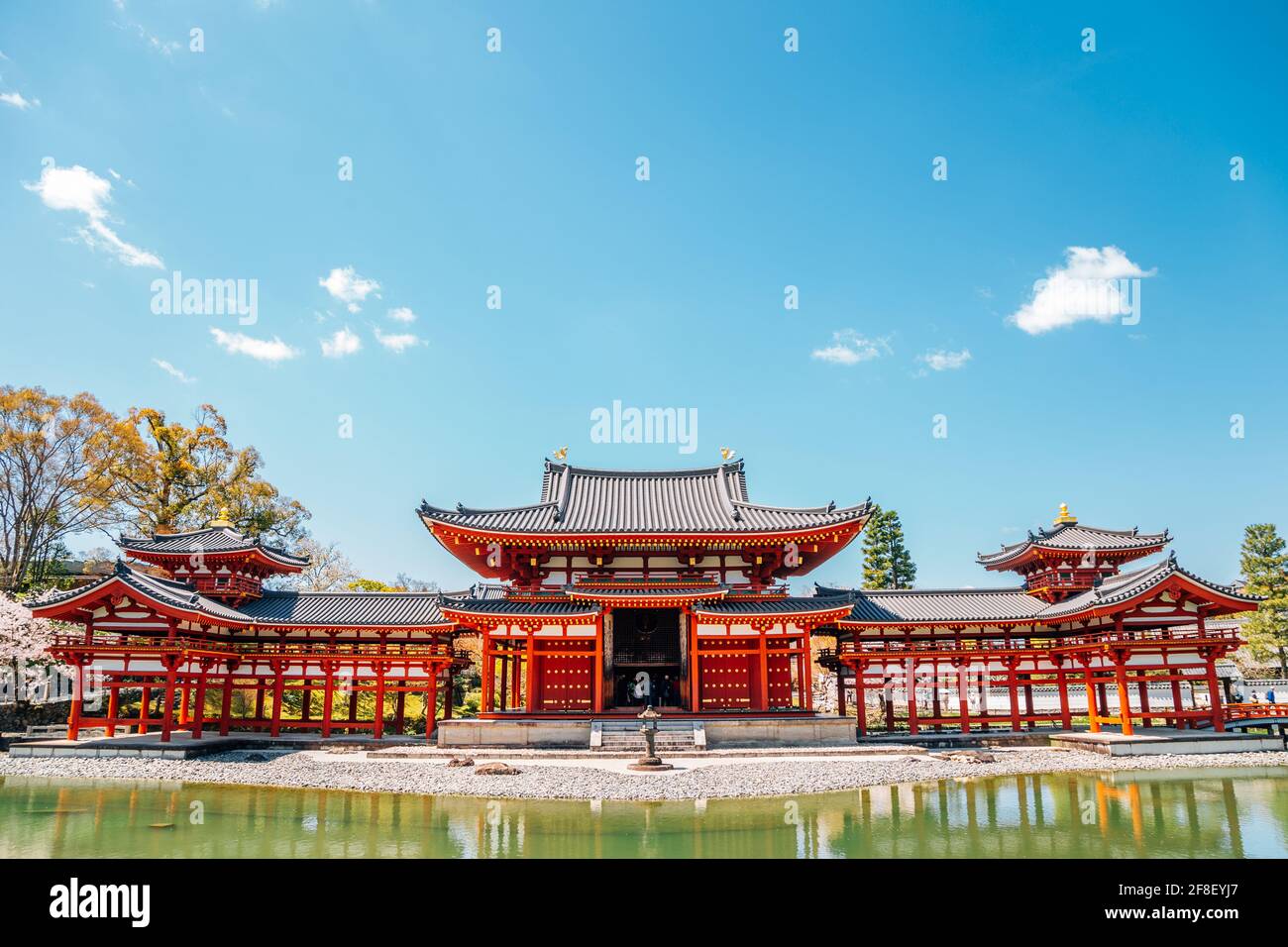 Byodo-in Tempel am Frühling in Uji, Kyoto, Japan Stockfoto