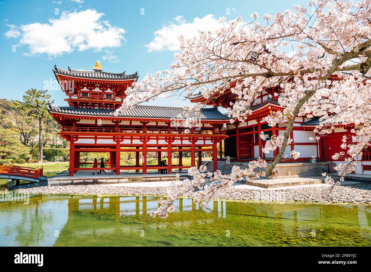 Byodo-in Tempel am Frühling in Uji, Kyoto, Japan Stockfoto