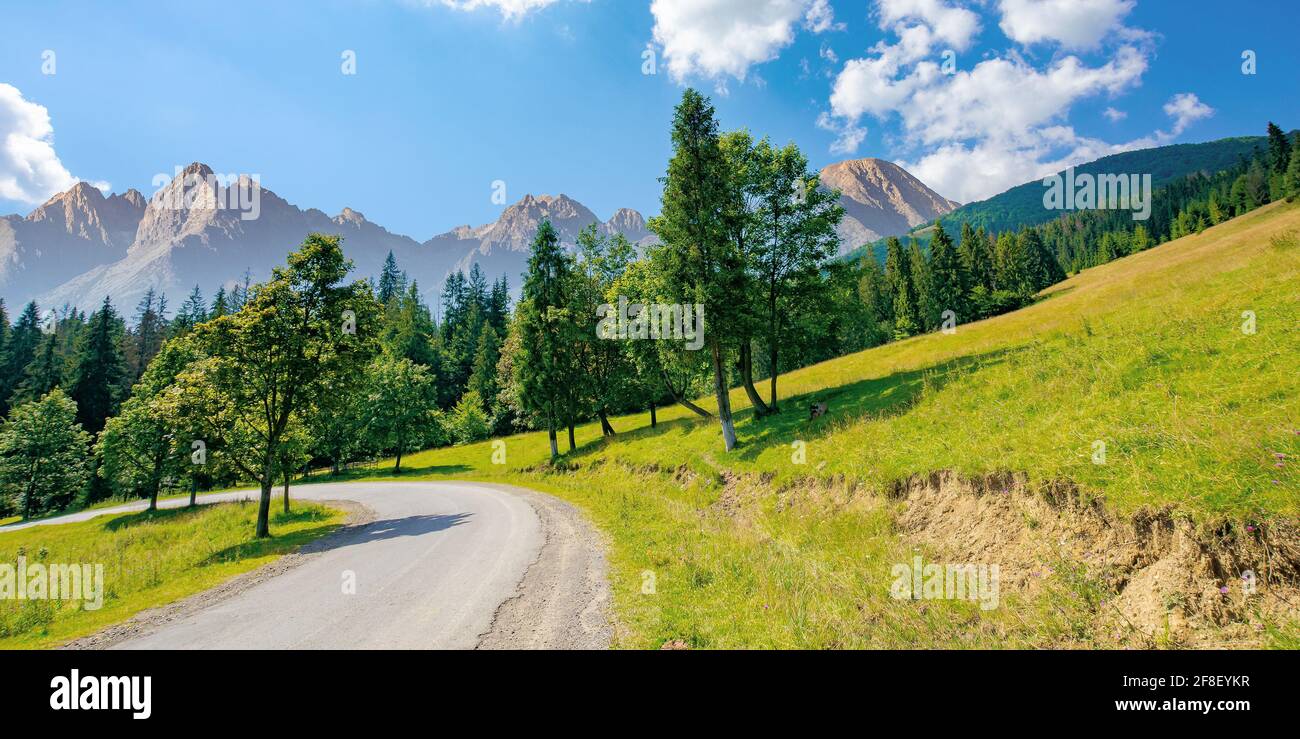Asphaltstraße durch bewaldete Berge. Schöne Landschaft Transport Hintergrund. Composite-Landschaft mit hohen tatra Kamm in der Ferne. S Stockfoto
