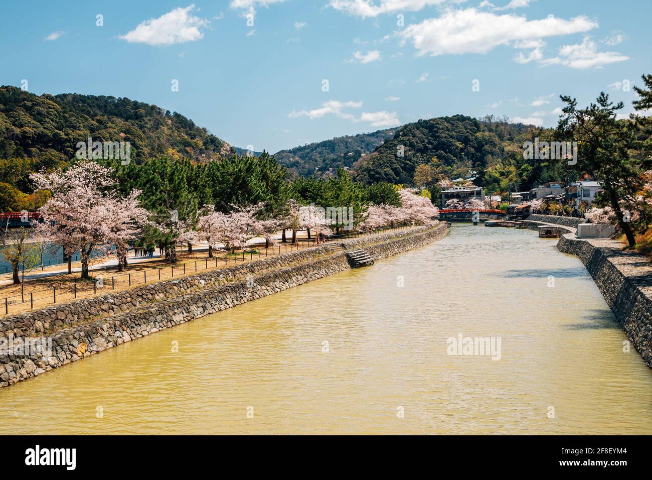 Uji River Park im Frühling in Kyoto, Japan Stockfoto