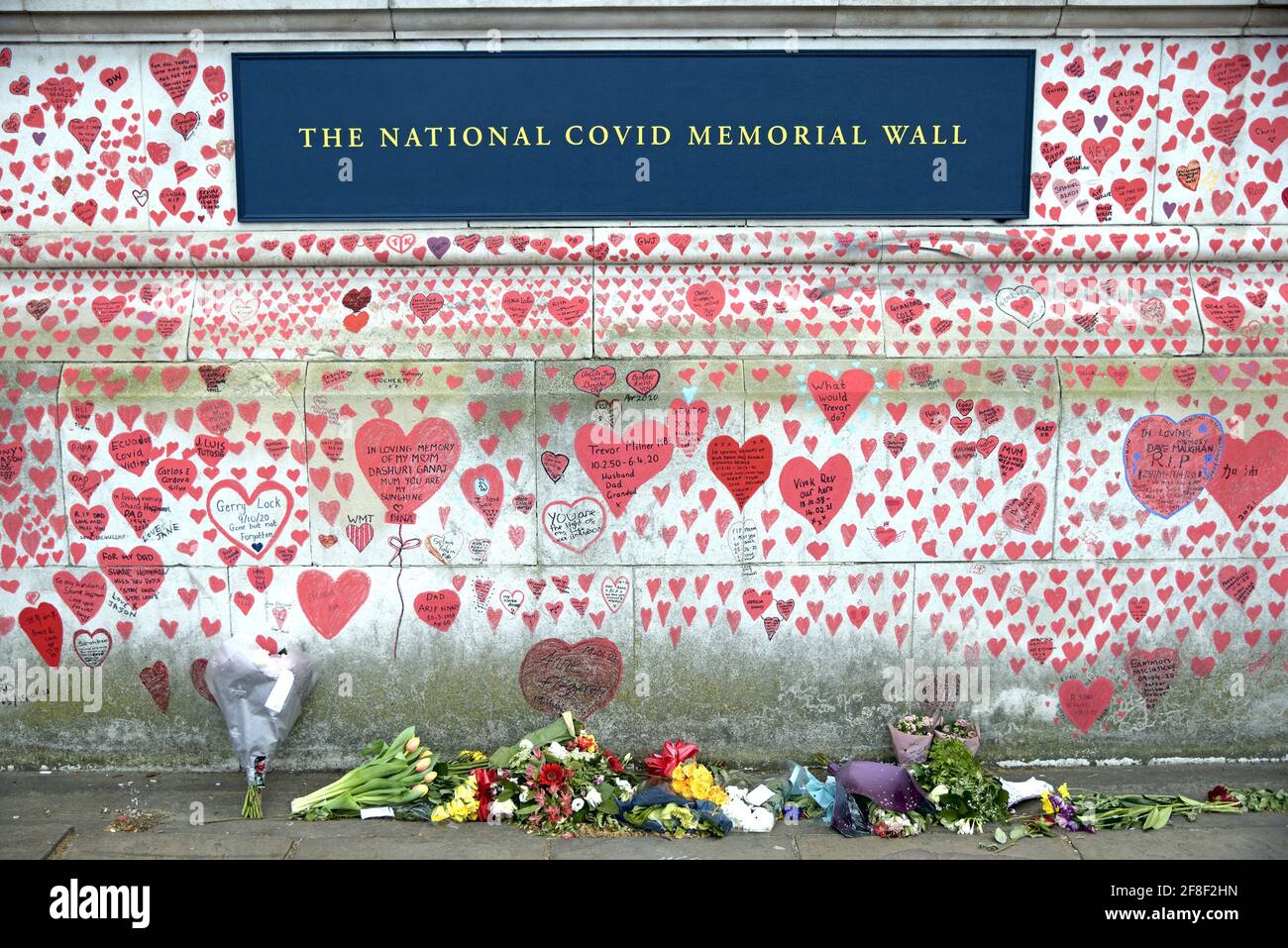 London, England, Großbritannien. National Covid Memorial Wall am Ufer der Themse, gegenüber dem Parlamentsgebäude, 150 000 Herzen zum Gedenken an die li Stockfoto