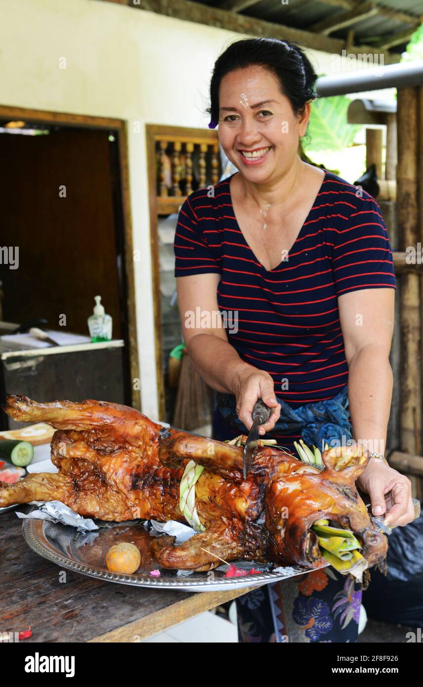 Eine balinesische Frau schneidet ein gebratenes ganzes Schweinefleisch, das während eines religiösen Festivals gekocht wurde. Stockfoto