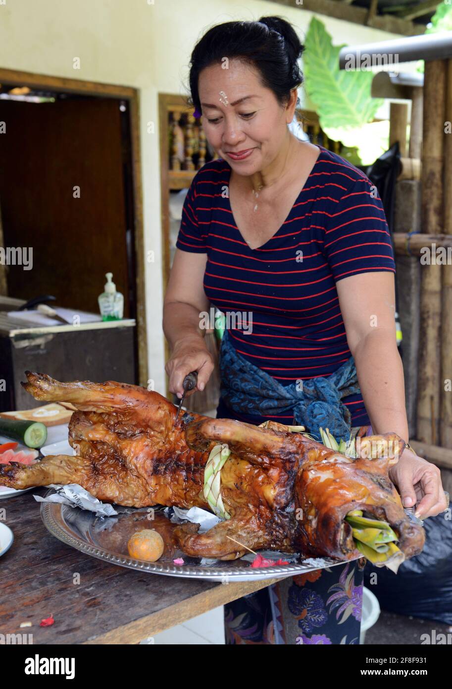 Eine balinesische Frau schneidet ein gebratenes ganzes Schweinefleisch, das während eines religiösen Festivals gekocht wurde. Stockfoto