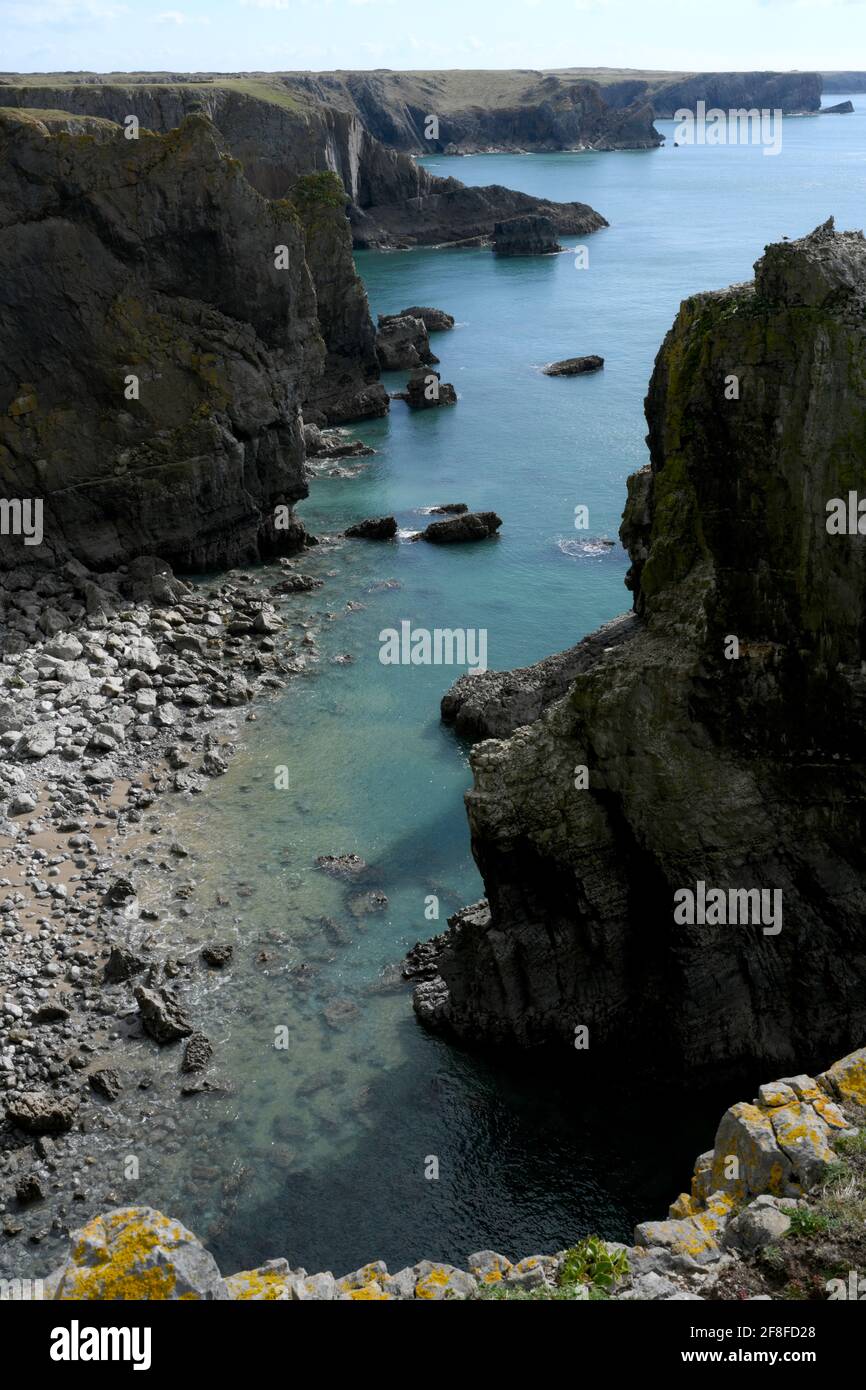 Cliffs at Stack Rocks, Pembroke. Blick nach Osten nach Flimston, Bullslaughter Bay und Mewsford Point. Stockfoto