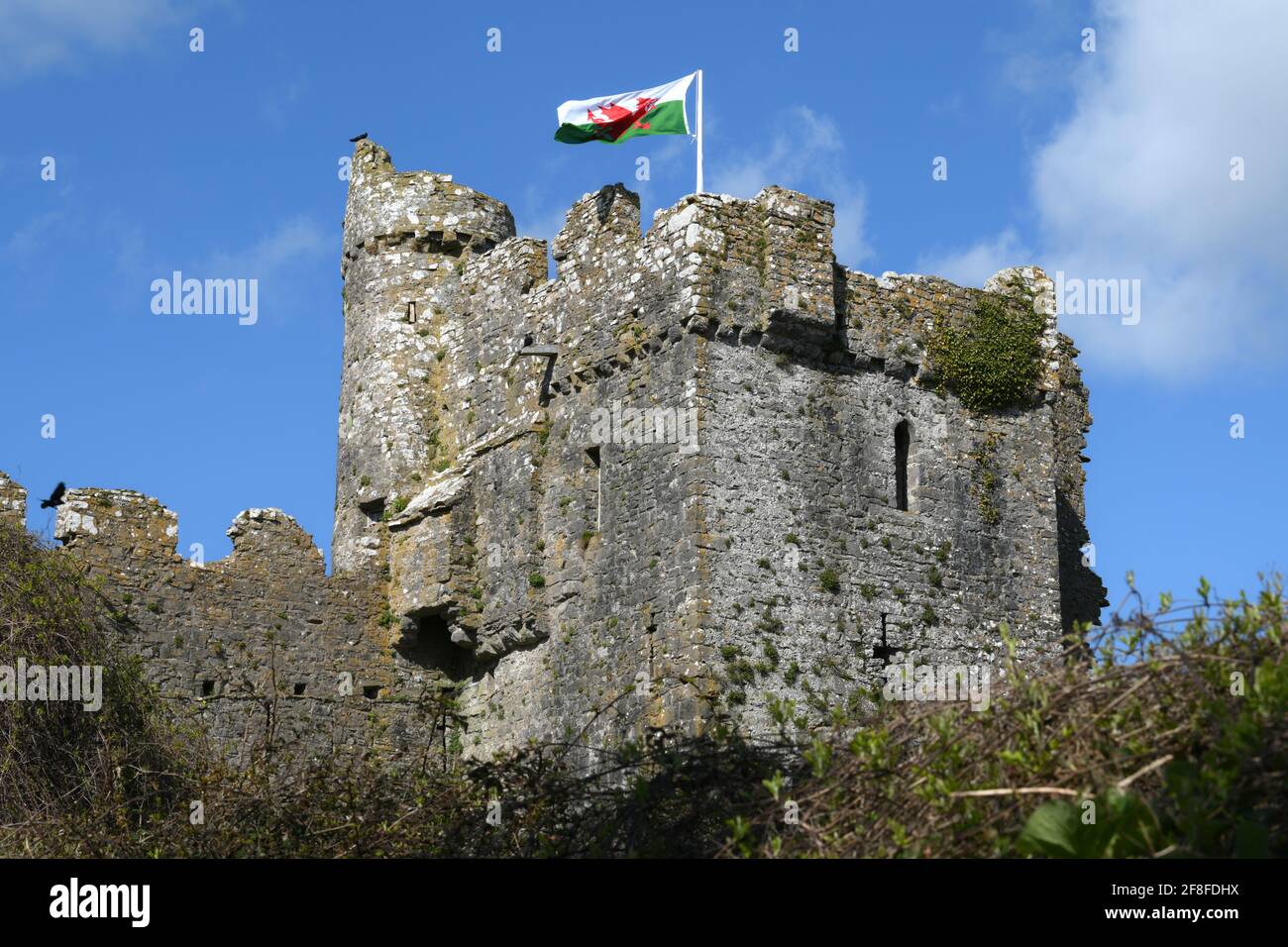 Walisische Flagge, die vom Schloss gegen den blauen Himmel fliegt - Manorbier East Tower Stockfoto