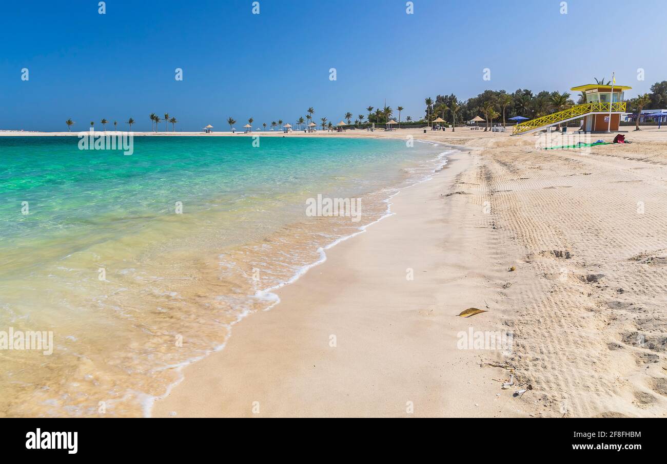 Palmen am Al Mamzar Beach in Dubai Stockfoto