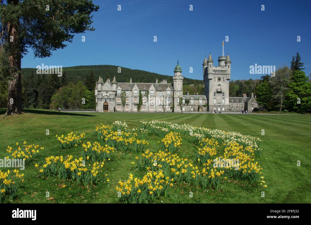 Die königliche Residenz von Balmoral Castle mit Frühlingsblumen im Vordergrund; Royal Deeside, Aberdeenshire, Schottland Stockfoto
