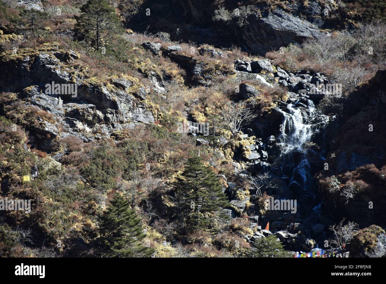 Himalayan Cascading Stream mit Stein und Pinien Stockfoto