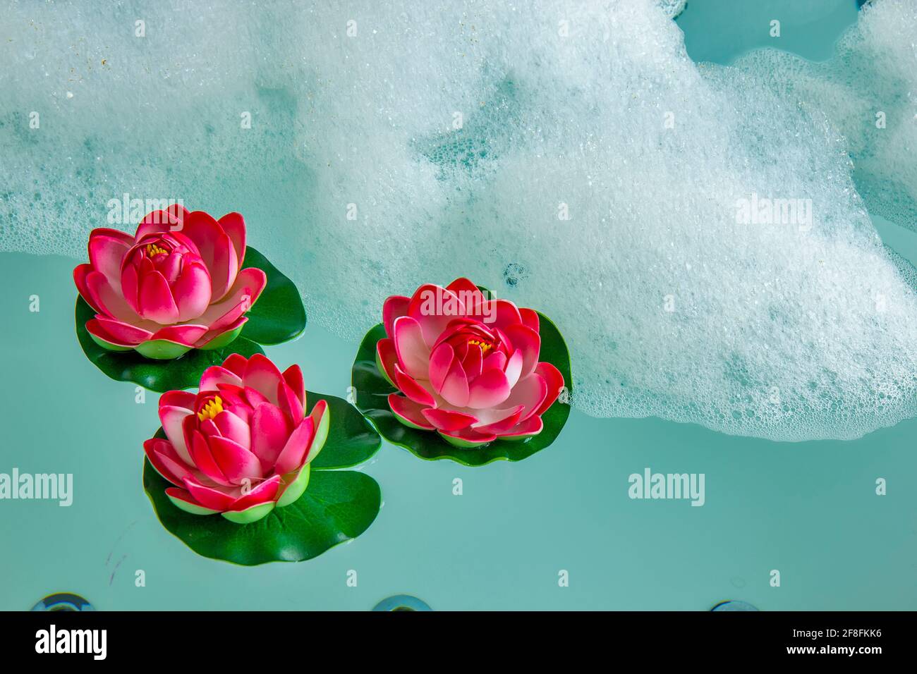 Wasserlilie auf dem Wasser im Whirlpool Stockfoto