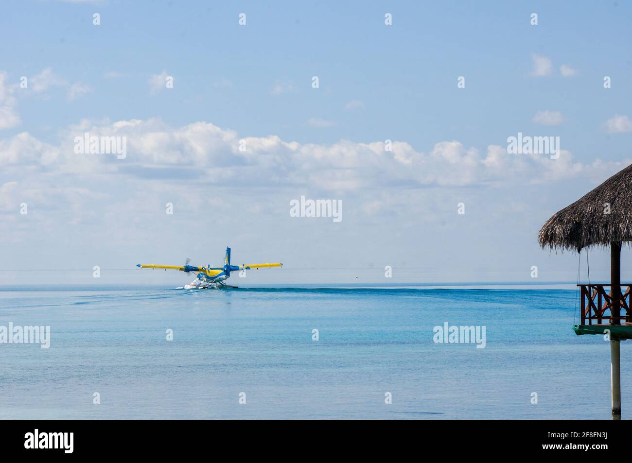 Landung eines Wasserflugzeugs auf der türkisfarbenen maledivischen Lagune. Luxuriöses Reisekonzept Stockfoto