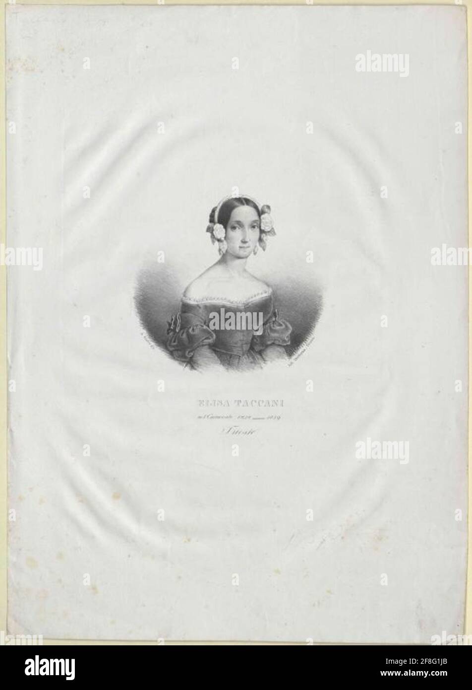 Taccani, Elise. Stockfoto