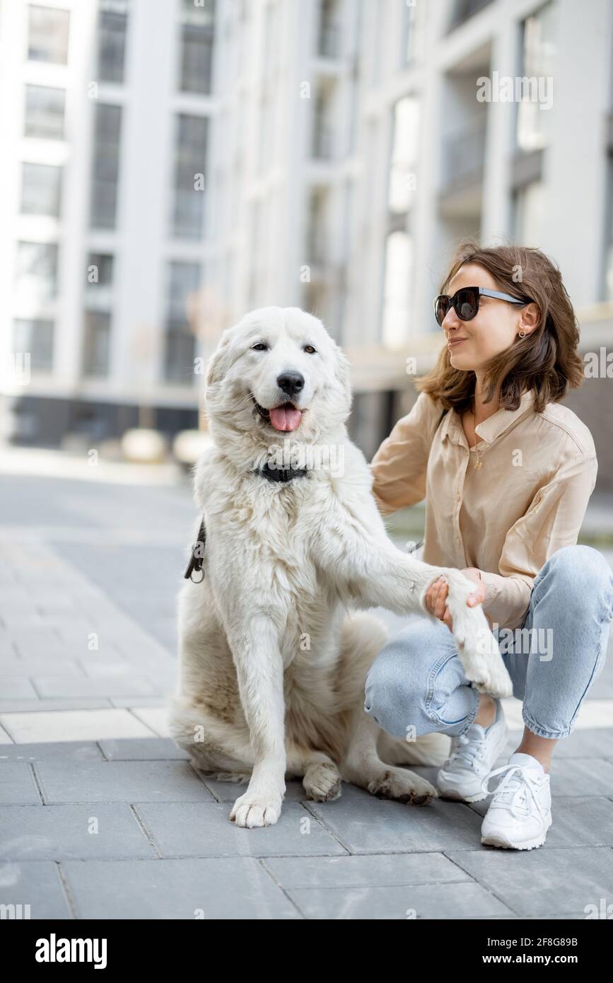 Fröhliche Frau spielt und umarmt sich mit ihrem großen weißen glücklichen Hund auf der Straße. Haustierfreundliches und haustierfreundliches Konzept. Tierliebhaber. Hund gibt eine Pfote Stockfoto