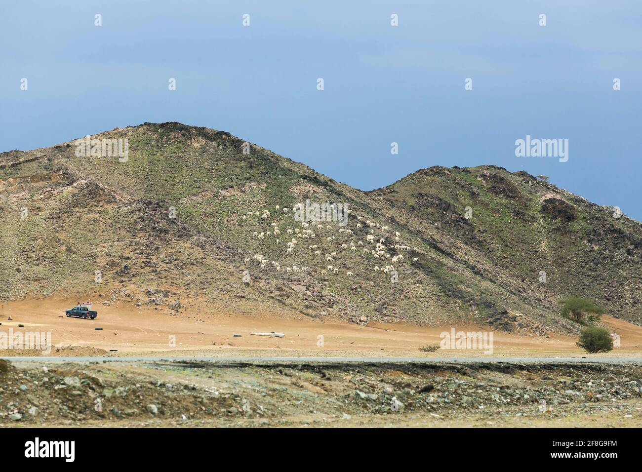wüstenlandschaft saudi-arabiens Stockfoto