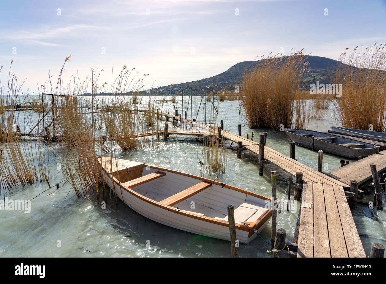 Plattensee mit einem Boot im Schilf Badacsony Hügel Hintergrund. Stockfoto