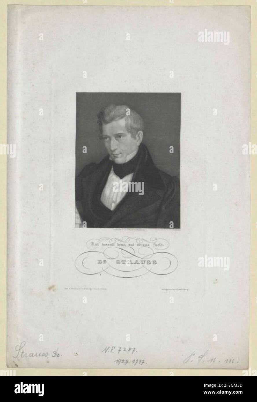Strauss, David Friedrich Stecher: Mayer, Carlverlag: Bibliographic Institute of Institute: Hildburghausen Stockfoto