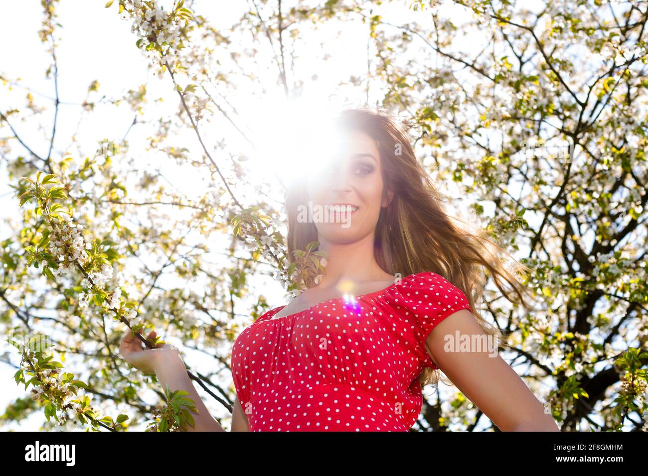 Junge schöne Mädchen in Frühling und Baum Blüte im Sommerkleid Stockfoto