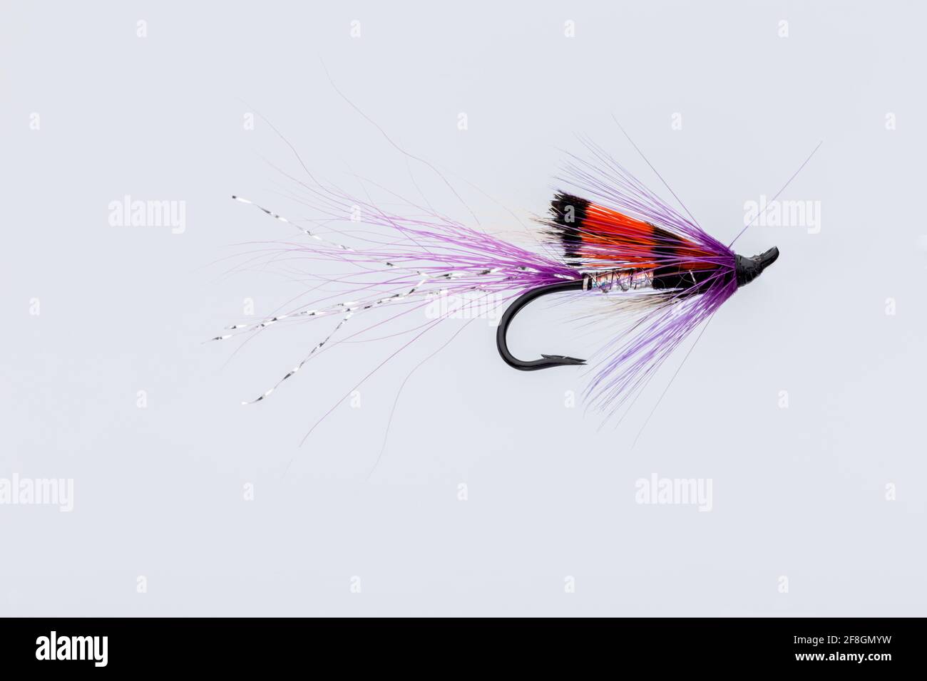 Atlantischer Lachsangeln fliegen die Purple Double Shrimp Fly eines Verbündeten Aufgenommen in einem Studio Stockfoto