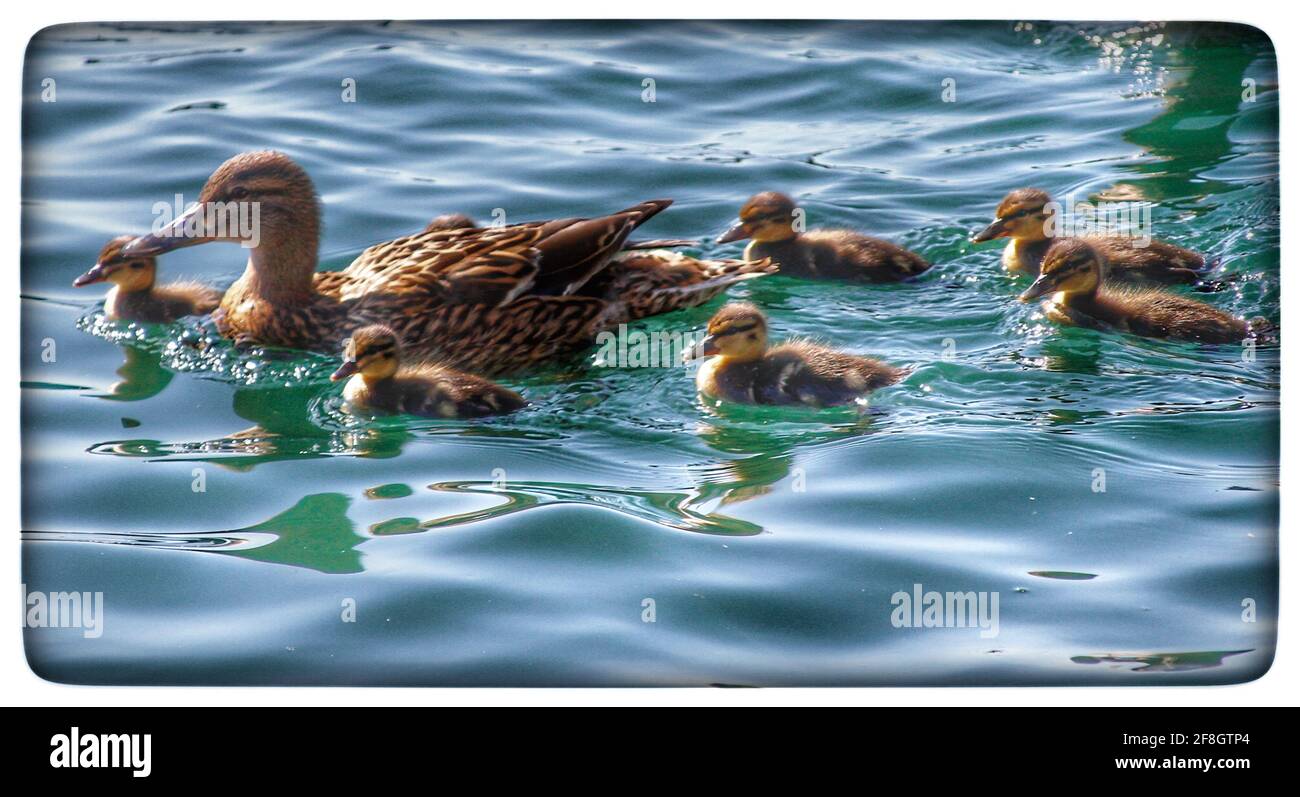 Southport Credit Ian Fairbrother/Alamy Stock Photos Stockfoto