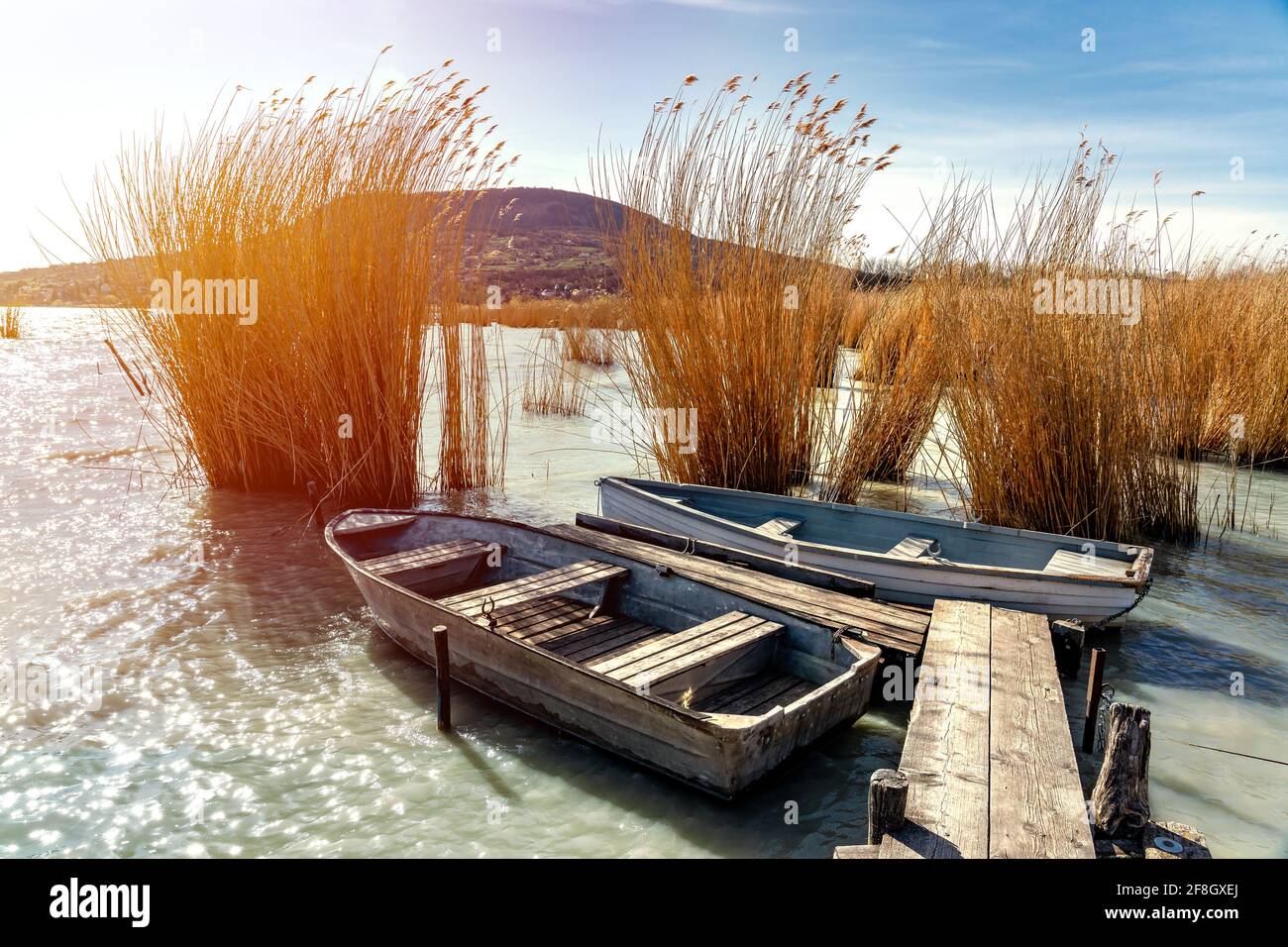 Plattensee mit einem Boot im Schilf bei Sonnenuntergang Badacsony Hügel Hintergrund. Stockfoto