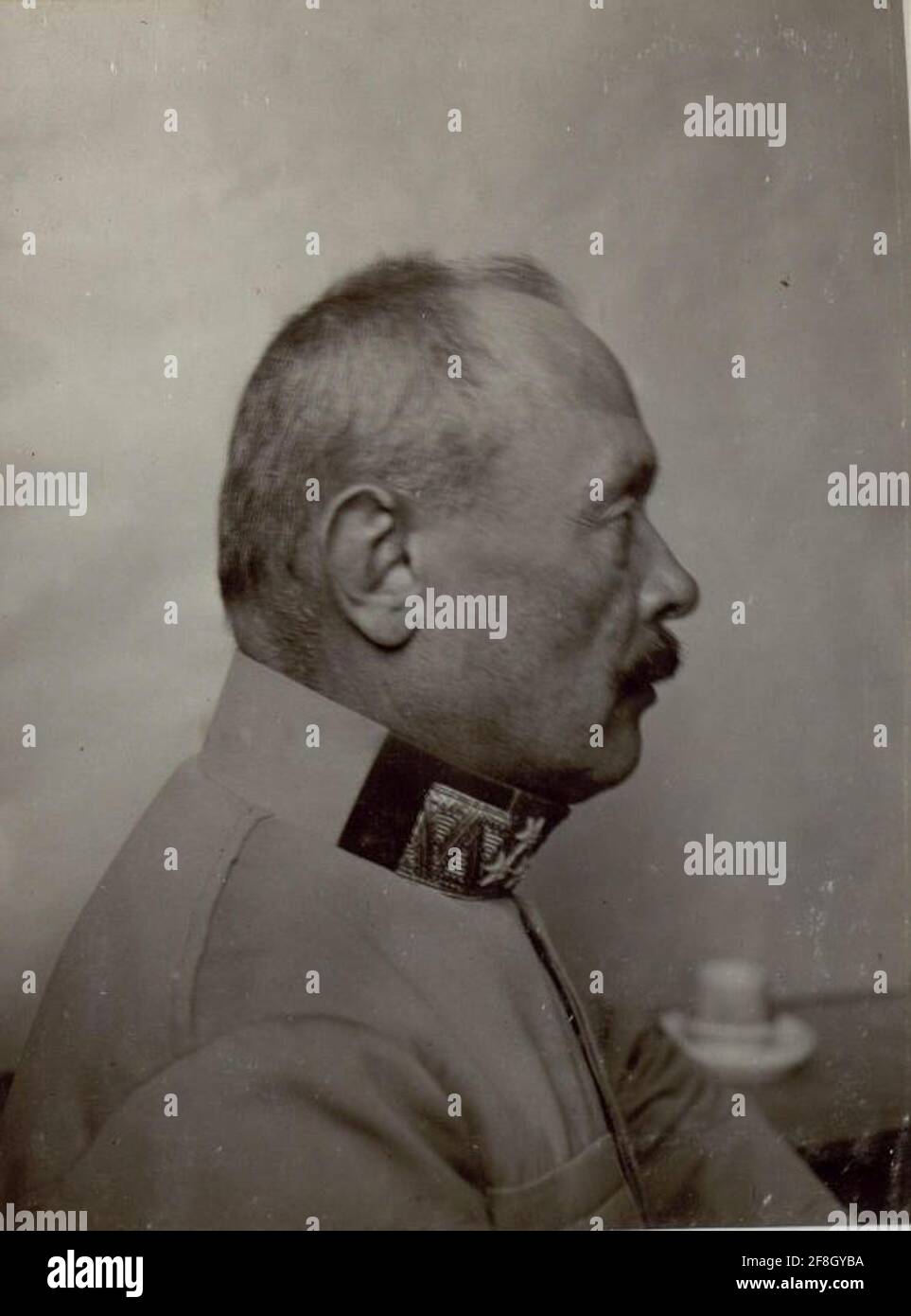 Feldmarschall Svetozar Boroevic von Bojna, General der Infanterie, Kommandeur der 5. Armee, Profilaufnahme des Gesichtsausstosses im Frühjahr 1916 in Postojna (Adelsberg) Slowenien Stockfoto