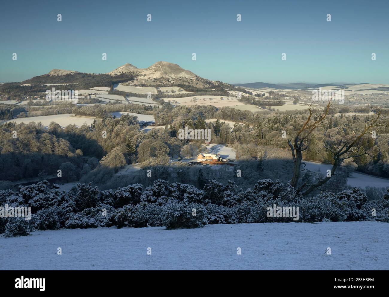 Blick auf die Eildon Hills von Scott's View an einem frostigen Frühlingsmorgen. Stockfoto