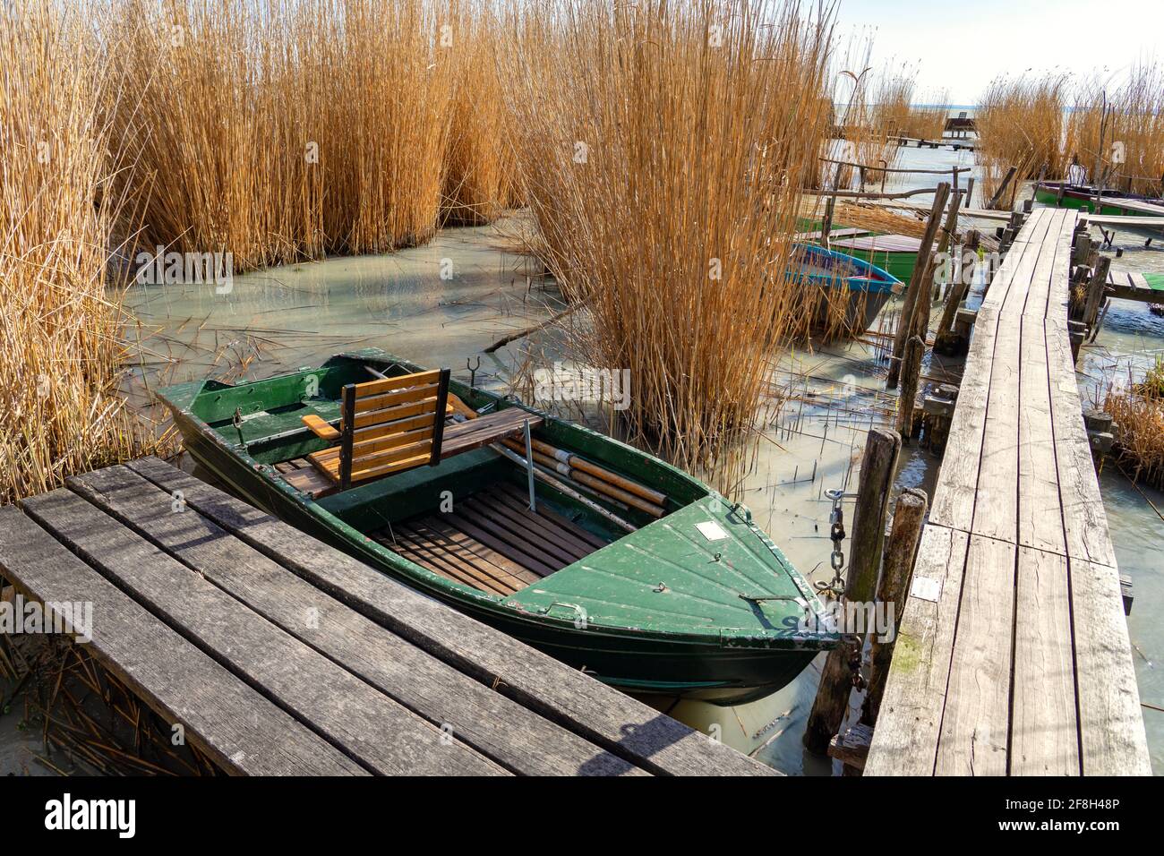 Plattensee mit einem Boot im Schilf Badacsony Hügel Hintergrund. Stockfoto