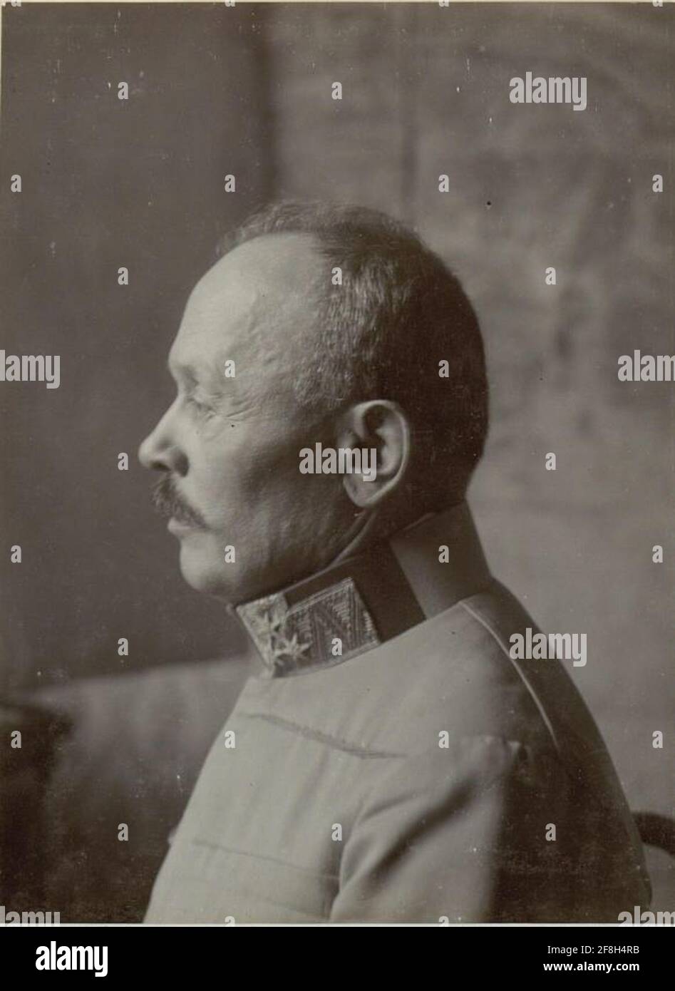 Feldmarschall Svetozar Boroevic von Bojna, General der Infanterie, Kommandeur der 5. Armee, Profilaufnahme des Gesichtsausstosses im Frühjahr 1916 in Postojna (Adelsberg) Slowenien Stockfoto