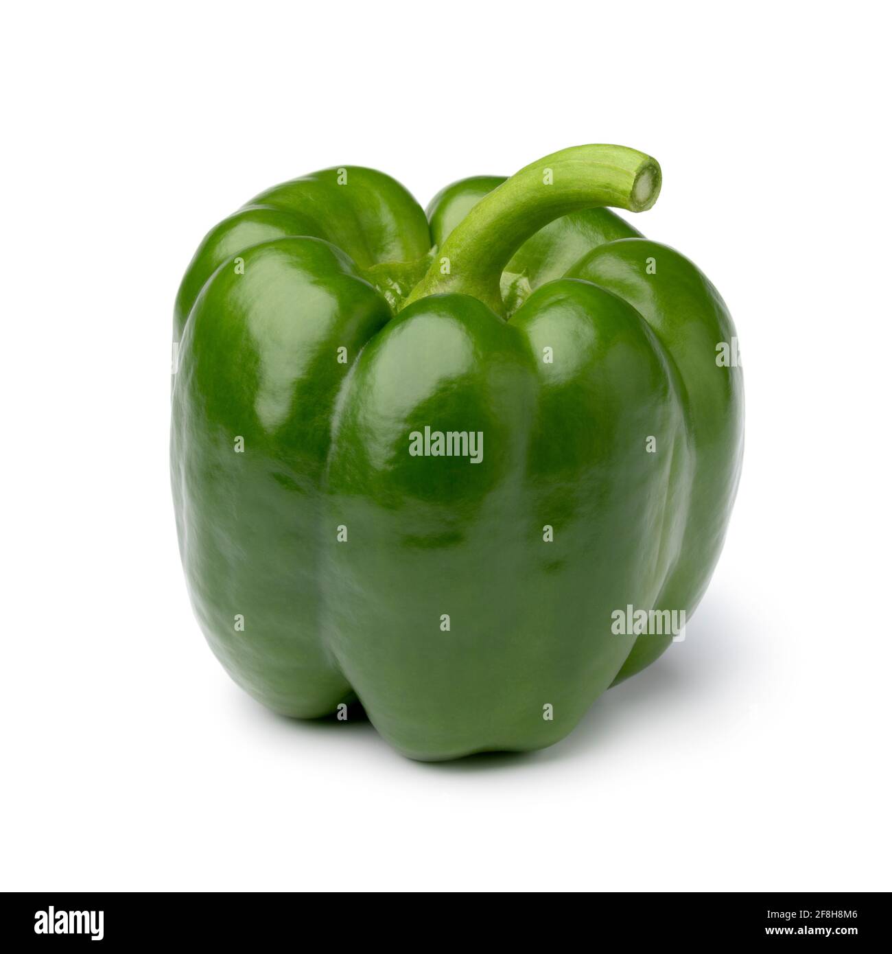 Einzelne frische grüne Paprika isoliert auf weißem Hintergrund Stockfoto