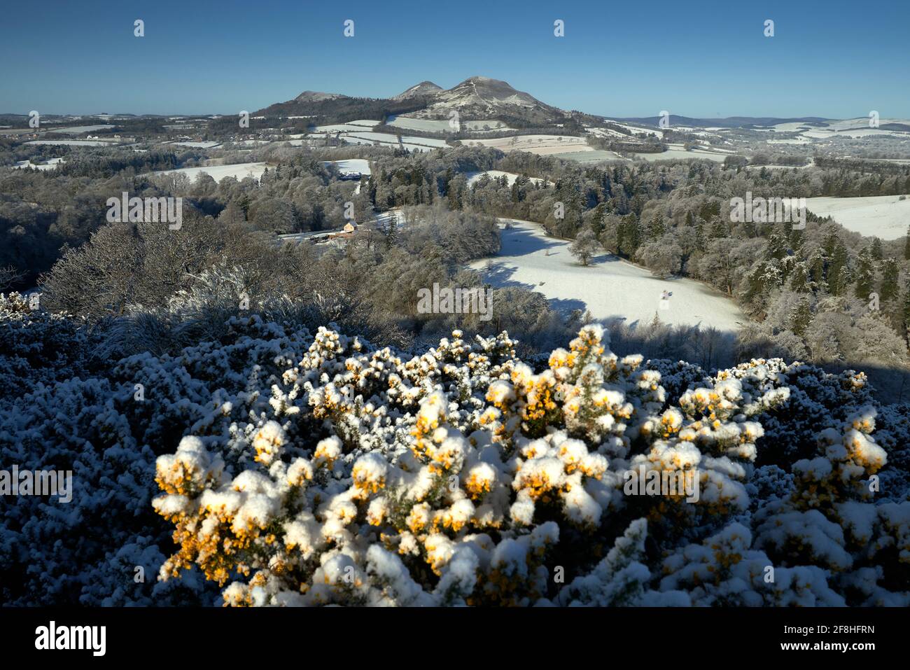 Blick auf die Eildon Hills von Scott's View an einem frostigen Frühlingsmorgen. Stockfoto