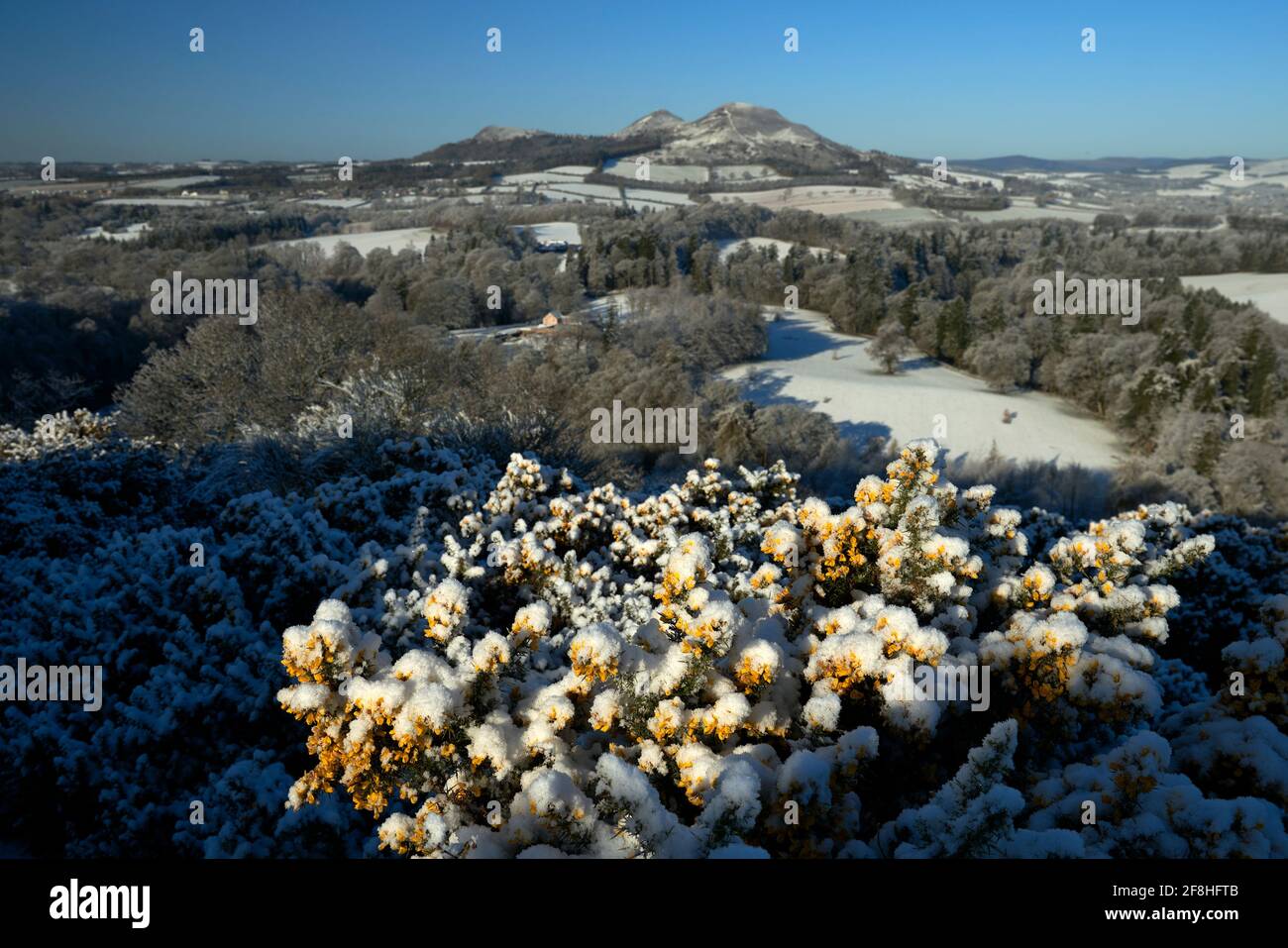 Blick auf die Eildon Hills von Scott's View an einem frostigen Frühlingsmorgen. Stockfoto