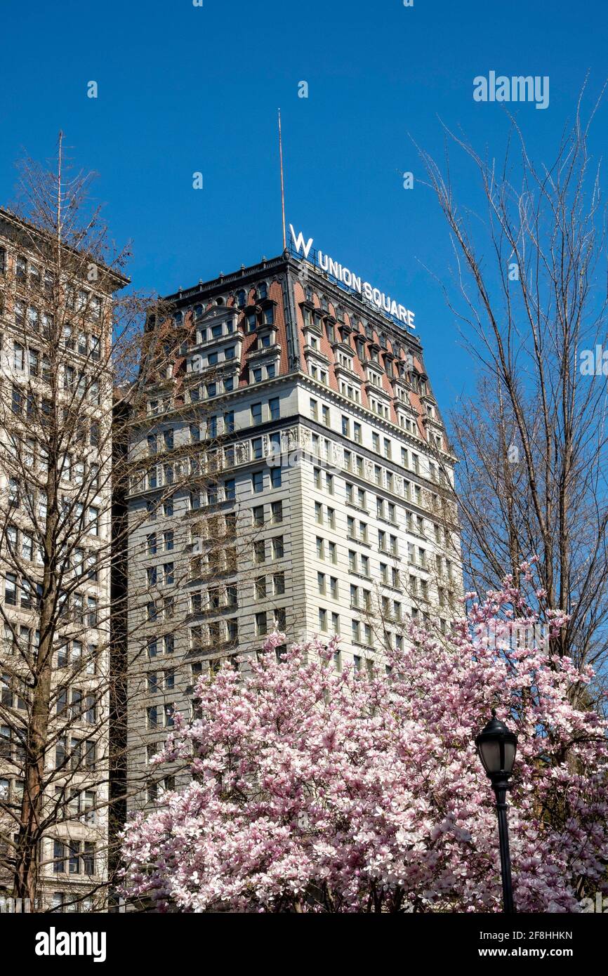 Frühling im Union Square Park, New York, USA Stockfoto